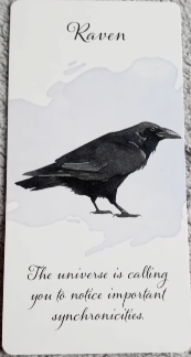 Divine Feather Messenger